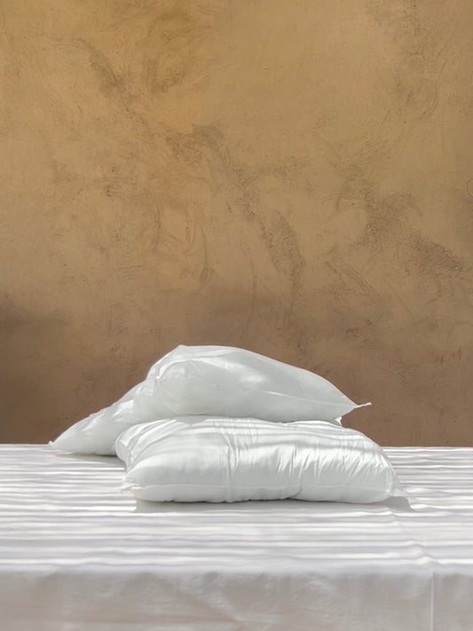 Coussin à recouvrir