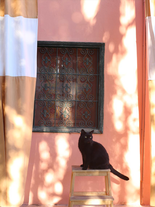 RIDEAUX TAMAYOURT, beige et sa bande blanche